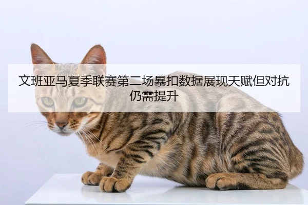 文班亚马夏季联赛第二场暴扣数据展现天赋但对抗仍需提升