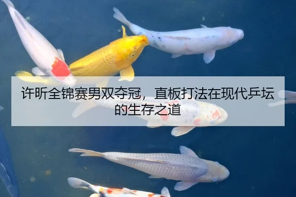 许昕全锦赛男双夺冠，直板打法在现代乒坛的生存之道