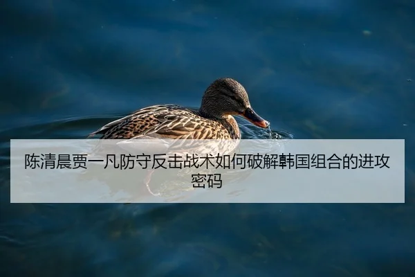 chen-qing-chen-jia-yi-fan-fang-shou-fan-ji-zhan-shu-ru-he-po-jie-han-guo-zu-he-de-jin-gong-mi-ma-2-864.jpg